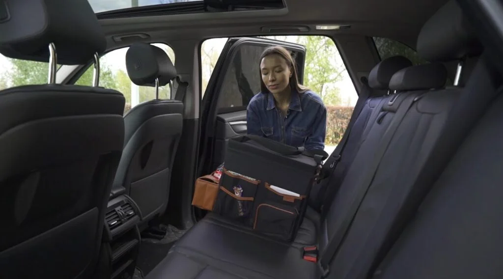 Volkswagen Passat back seat organizer