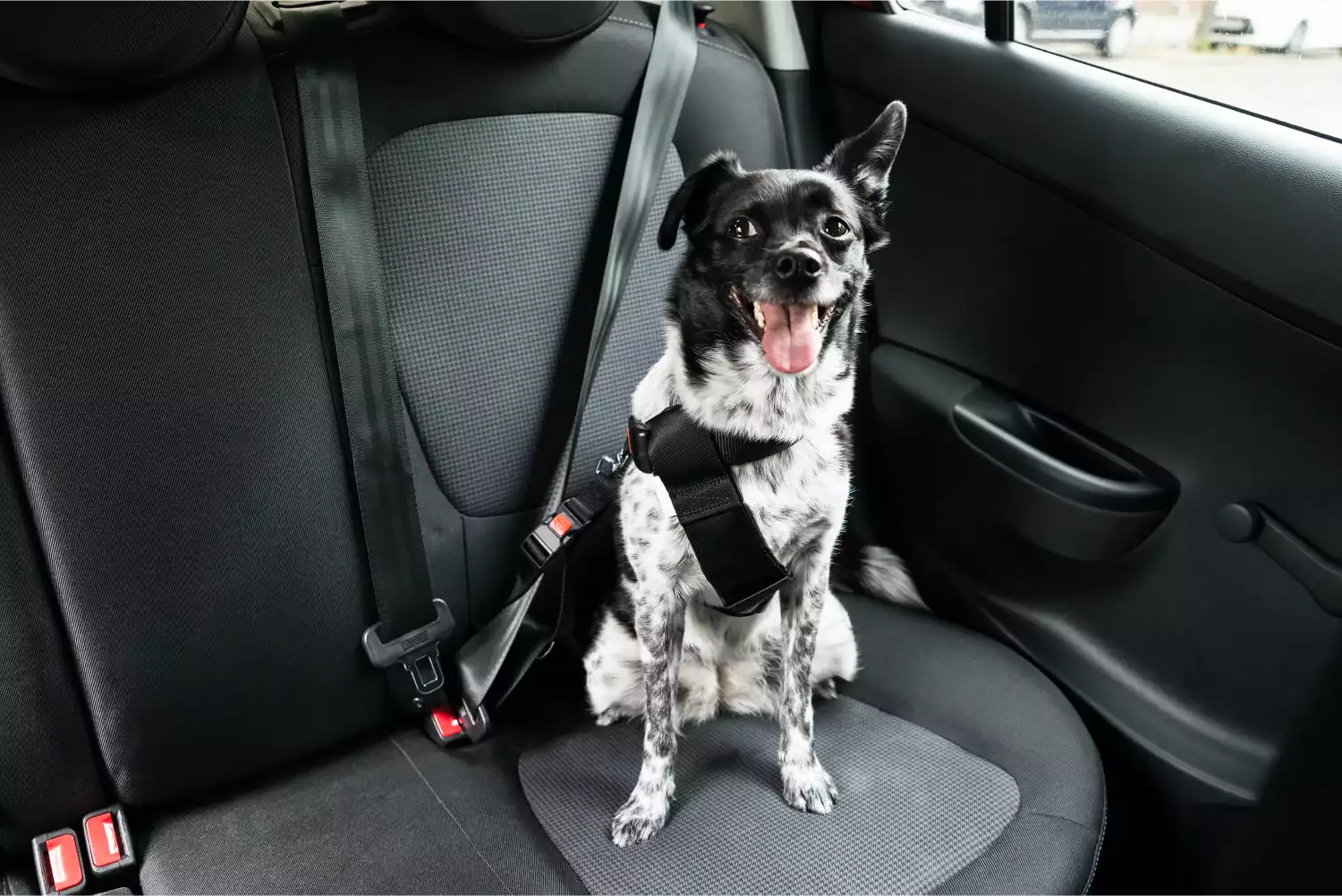 German Shepherd Dogs Dog Car Seat Belt for Cadillac XT5