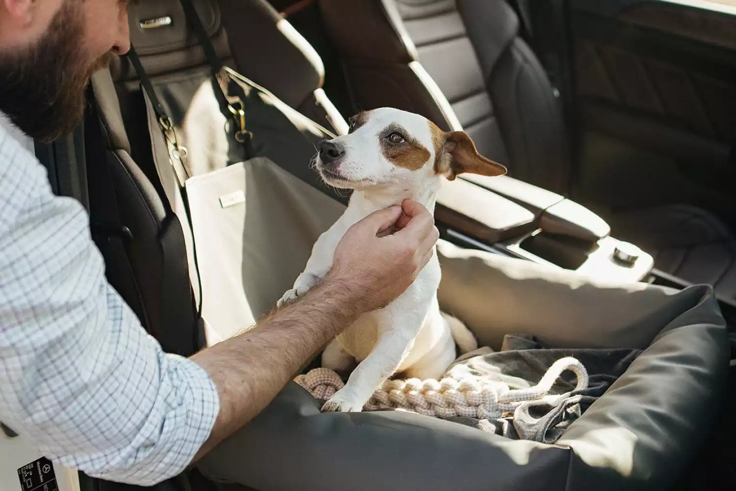 Shiba Inu Dog Car Seat for Hyundai Kona