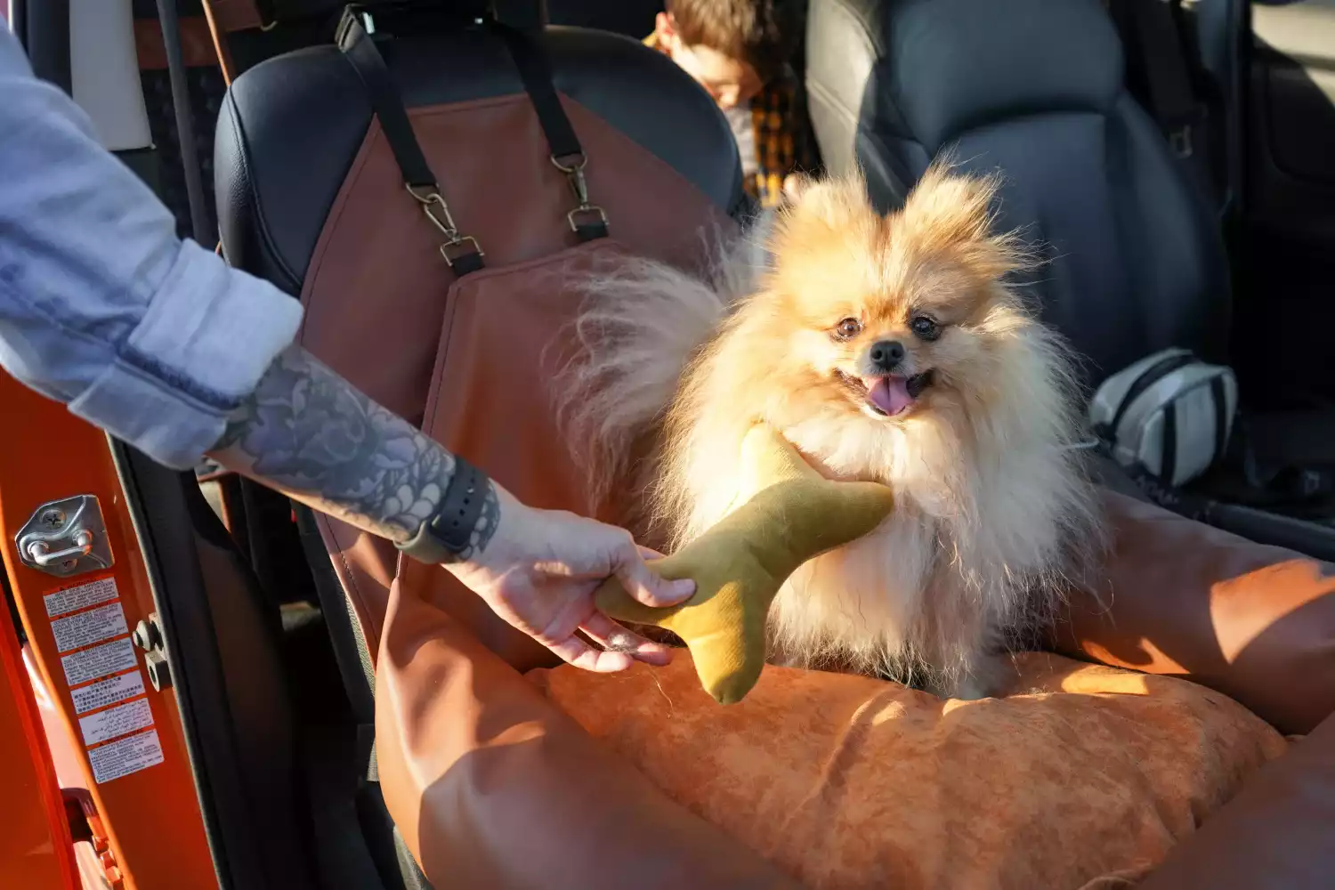 Pugs Dog Car Seat for Jeep Grand Cherokee