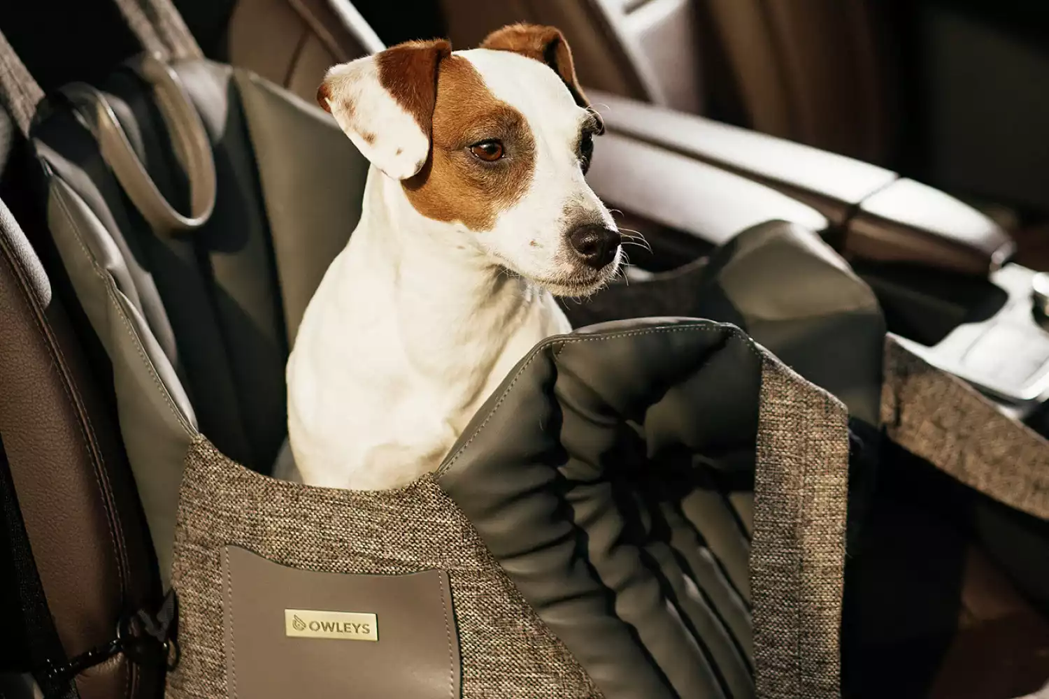 Hyundai Sonata Dog Carrier Car Seat for Alaskan Klee Kai